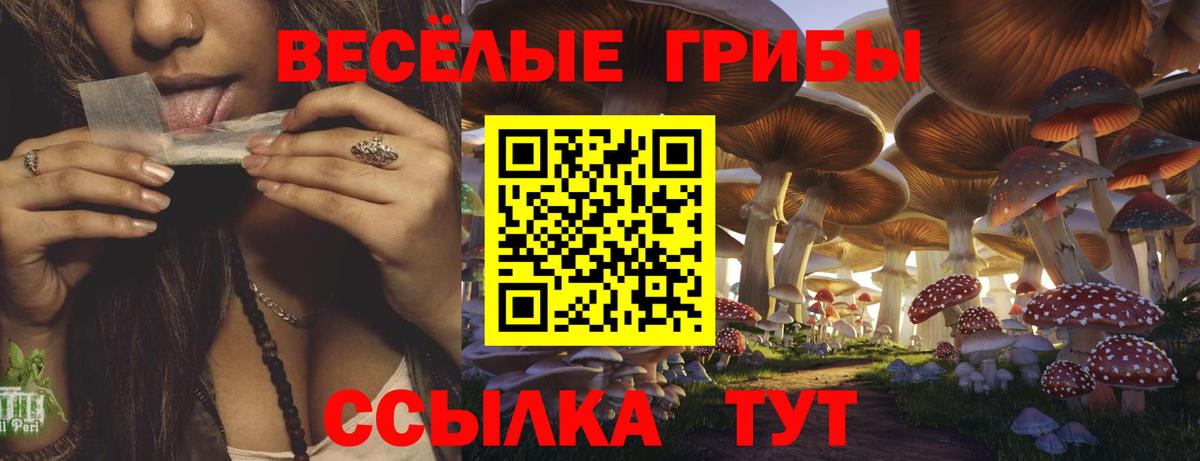 Псилоцибиновые грибы Magic Shrooms Братск