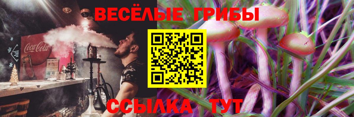 Галлюциногенные грибы прущие грибы  Вход с VPN  Братск 
